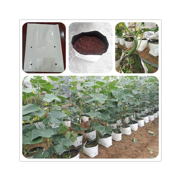 PE Coated Accessories Rectangular Plastic Dutch Bucket for Hydroponic Tomato Growing
