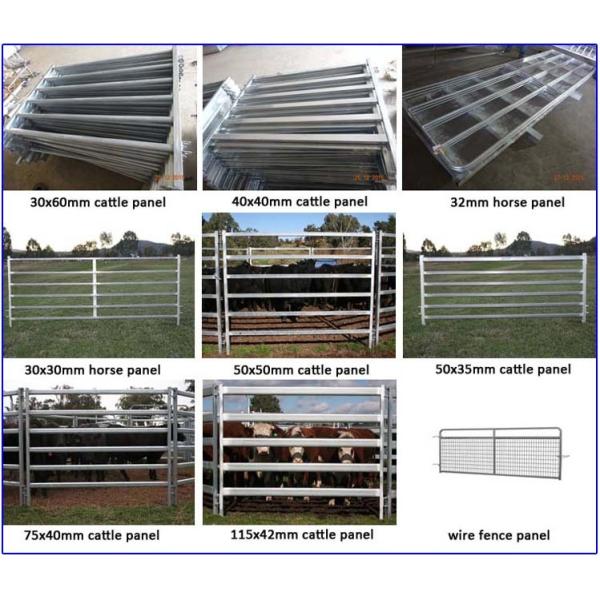 Livestock panels / Cattle panels 1.6m x 2.1m hot dipped galvanized aus standard