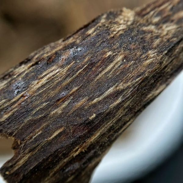 Natural OUD Agarwood resin with rich fragrance perfect for in luxury perfumery incense and traditional aromatic products