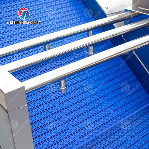 стиральная машина фрукта и овоща впрыски диффузии 380V 240KG легкая для того чтобы работать