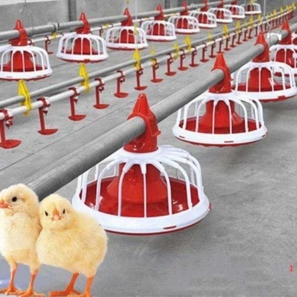 Best Price Automatic Poultry Farm Broiler Feeding Line Chicken Feeding and Drinking Pan