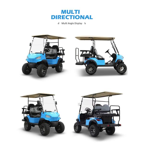 Electric Golf Buggy 2 2 Seat Battery Operated Utility Golf Carts for Your Needs from HM
