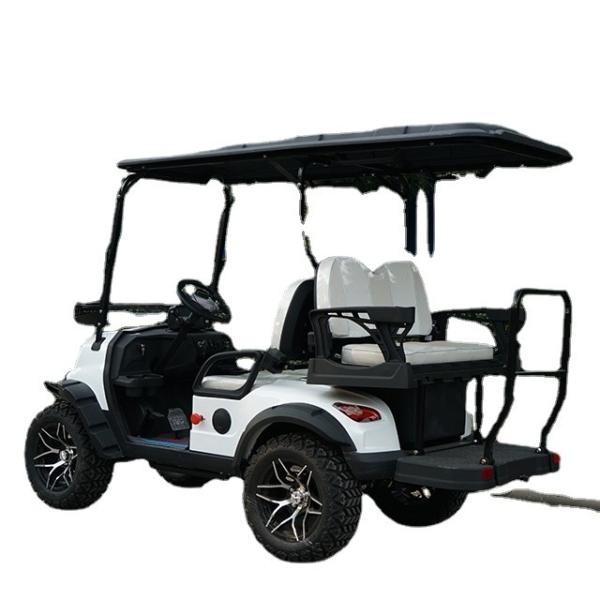 Lake Horse Electric Golf Cart with Buggy Car Tour Tire Front Disc Rear Drum Brake System