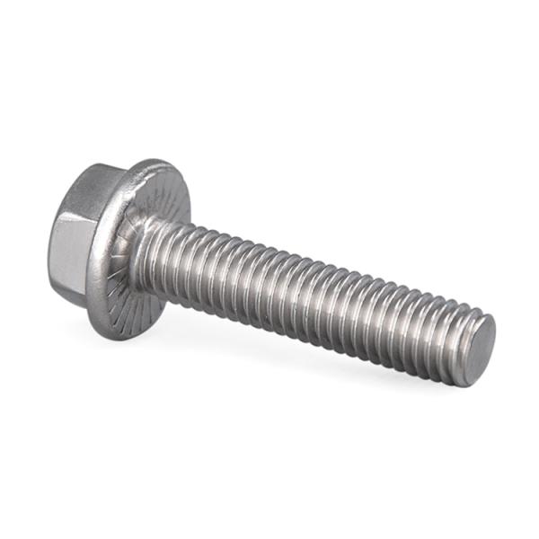 De aço inoxidável métrico encanta o parafuso serrilhado tampão da flange com porcas