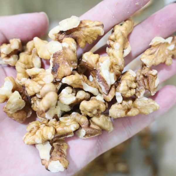Commercial Walnut Kernel Color Sorter Uses Shadowless Lighting Technology For Better High Accuracy Defect Recognition