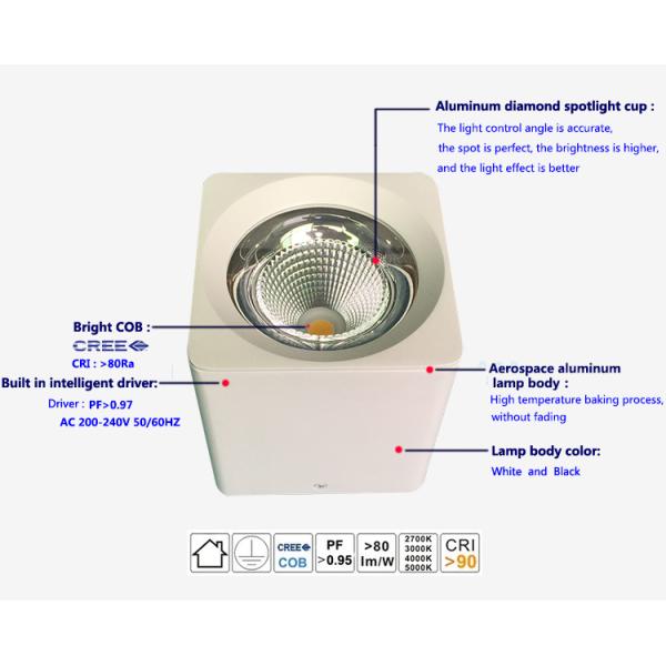 4000K AC230v surface-mount lights LED downlight cree COB ceiling light with CE RoHs