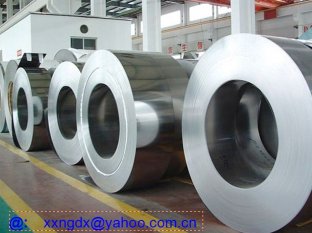 Hot Dipped Galvanized Steel Coil for Industrial Freezers and Appliance Enclosures with 40–450g/m² Zinc Coating