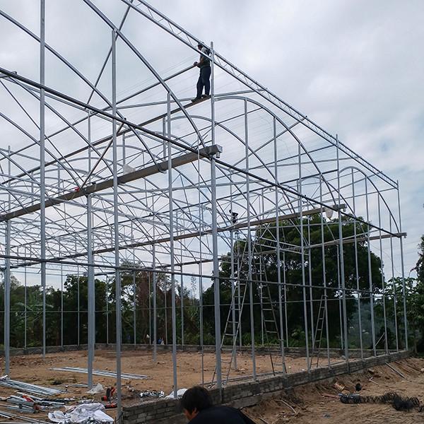 Ventilation Windproof Greenhouse With Pvc Cover Commercial Polycarbonate Greenhouse Kits