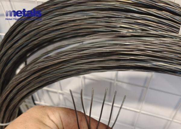 Black Annealed Twisted Wire BWG8-BWG22 for Construction Binding