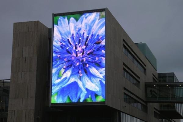 P25 Outdoor LED Curtain , LED Mesh Screen 7000cd/Sqm 10000H MTBF