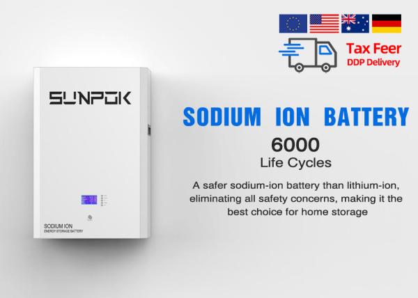IP21 100A Batterie à ions de sodium de haute sécurité de -20°C à 60°C Durée de vie de 20 ans