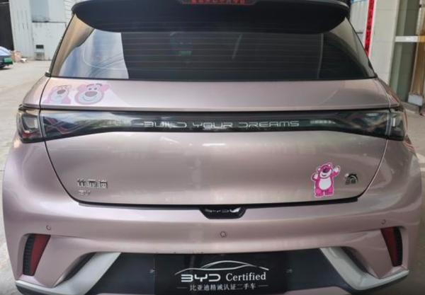 Small Full Electric Car New Enegy Sedan BYD Used Car Used BYD Dolphin