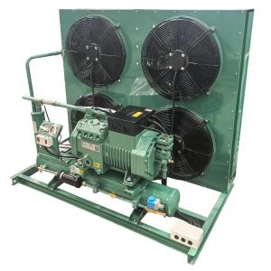 Versatile Axial Fan Air Cooled Condensing Units for walk in cooler freezer room