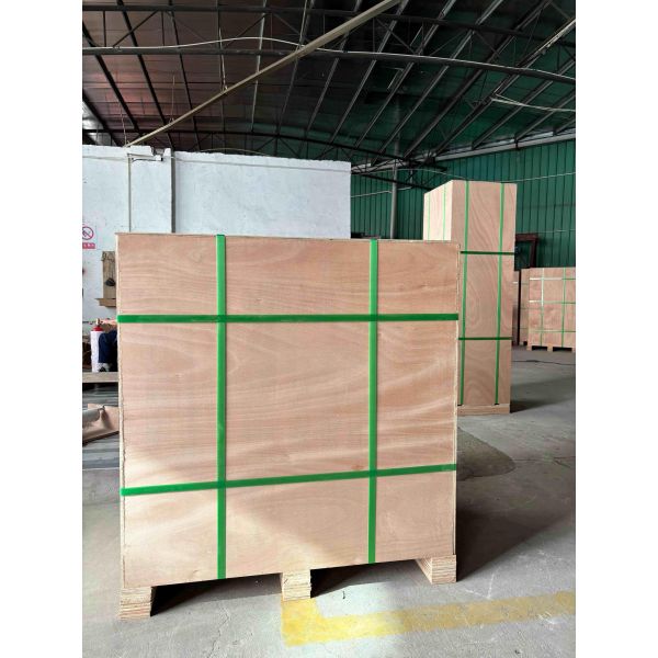 Fire Fighting Cooking Oil 24L Gas Cylinder Kitchen Fire Suppression System