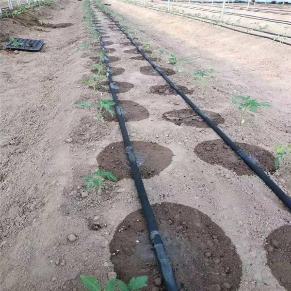 Sistema de rega e irrigação Agricultura Jardim Agropecuária Diâmetro 16 mm Tubo mangueira gotejamento Irrigação Tela de gotejamento