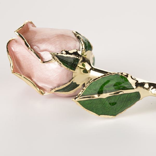 24k Gold Plated Rose Fresh Rose with Stem Present  Rose Gift Valentine Mother Day Eternal Rose Preserved Flower