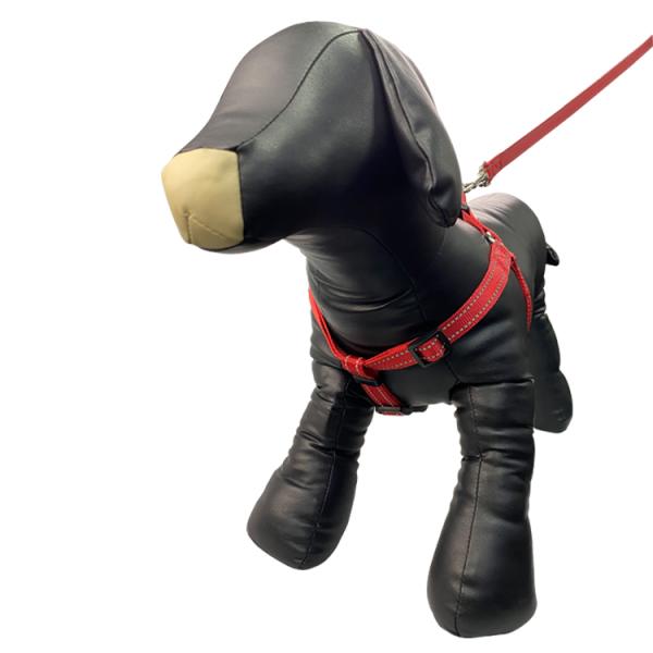 Изготовленное на заказ роскошное руководство проводки собаки логотипа установило зеленый Retractable поводок собаки