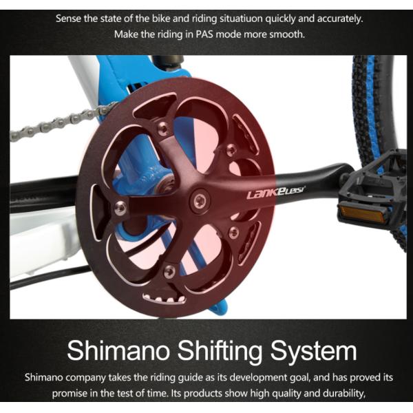 26 Inch Electric Folding Bike , 400W Lankeleisi Electric Bike 10AH L G Battery