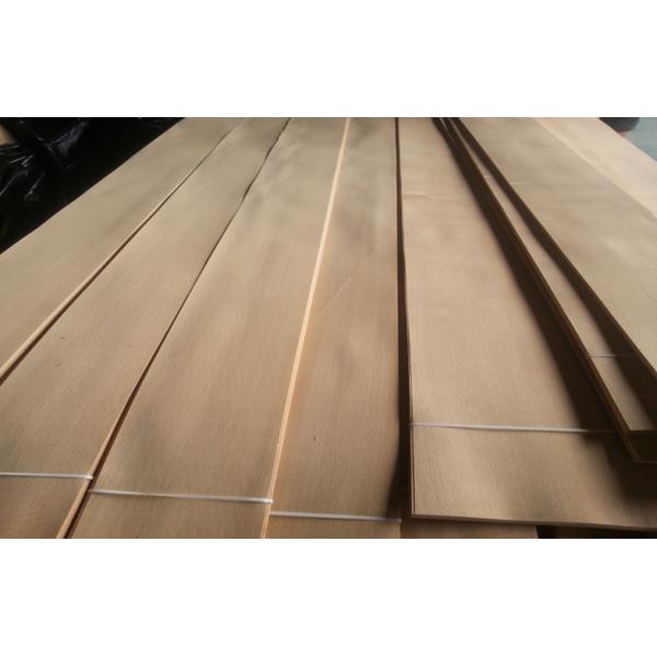 Отрезанный переклейкой лист облицовки древесины бука отрезка естественным испаренный европейцем