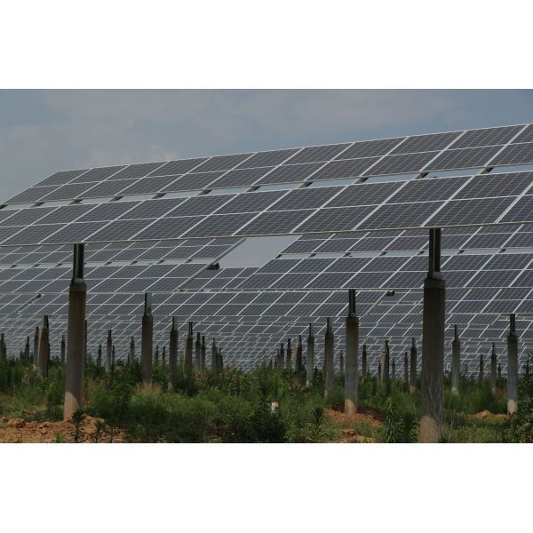 Trina Vertex 500 Watt Solar Panel Best Tire 1 Brand 480W 485W 490W 495Wpv Panel Module