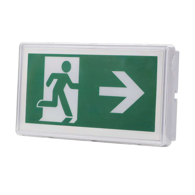 Ceiling Recessed Emergency Exit Sign Light with Ni-Cd Battery IP65 Rated and 5730 SMD LED
