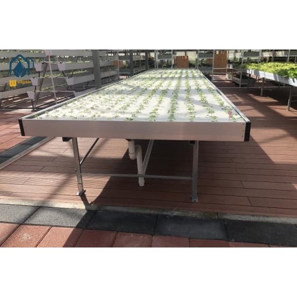 Customized Ebb And Flow Rolling Benches Movable Hydroponic Flood Tables For