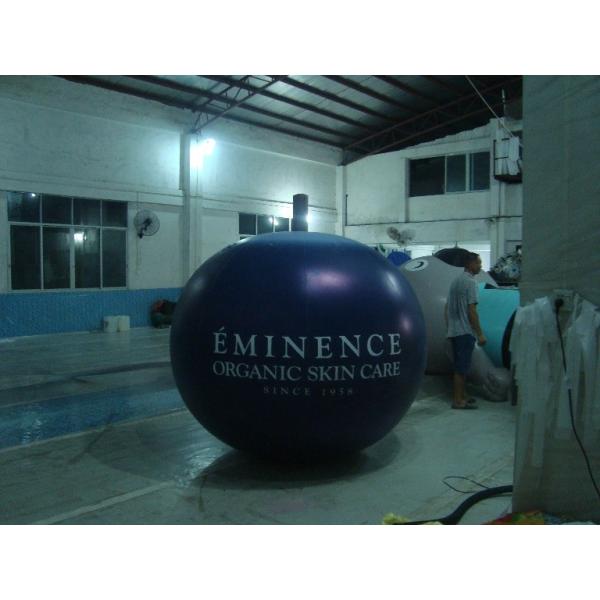 Воздушные шары для рекламировать, раздувной шарик плода голубики Реузеабле 5фт ф