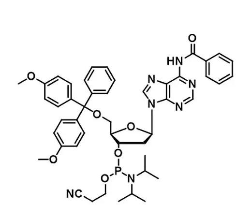 RNA DNA Synthesis Phosphoramidite 5g/bottle A G C T Phosphoramidites