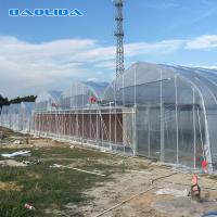Apoio diferente dos vegetais estufa pré-fabricada do período do túnel do tomate da multi