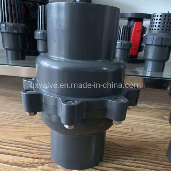 1 prime prime Spring Type PVC Check Valve for Water Industry Reversing Flow Direction