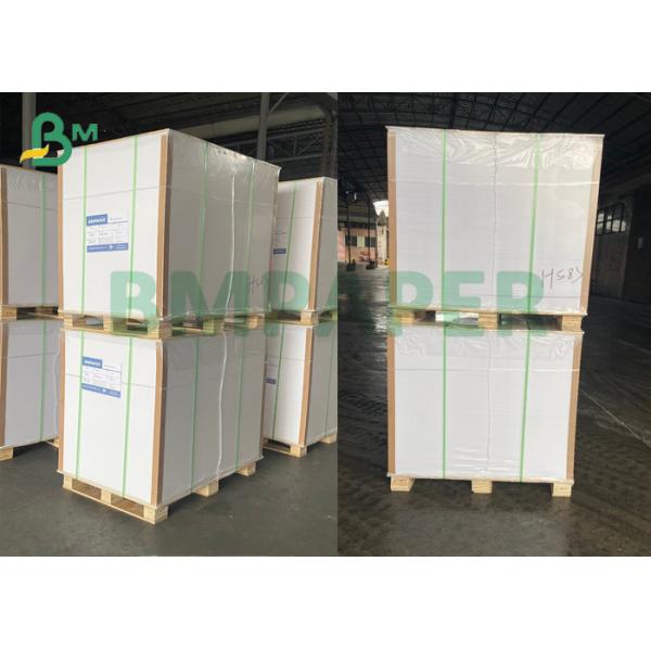 polycoated бумага запаса чашки Прочная жидкостная бумага запаса чашки барьера прокатала с сейфом еды PE