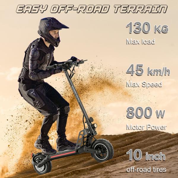 G2 PRO Adult Scooters 800W Foldable Design and Standard Voltage AC110-240V/50-60 HZ