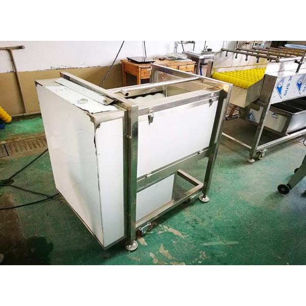 automatic commercial carrot/ginger/potato/fish/Hawthorn washing and polishing machine