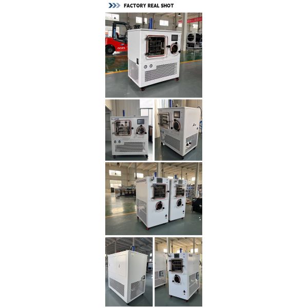 Small Scale Pharmaceutical Freeze Dryer Vacuum Drying Machine for Scientific Labs