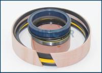 Selagem Kit Use In Cylinder For SUNCARSUNCARVOLVO da hidráulica VOE11707026 11707026 de VOE 11707026