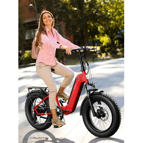 For TST 750w Full Suspension Electric Bicycle 48V 15Ah Integrated Battery All Terrain Fat Tire Folding Ebike