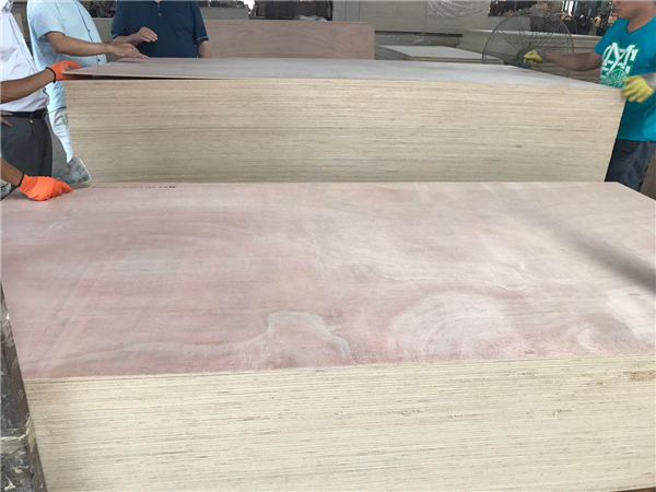 Environmentally Making Boats 20mm Marine Okoume Plywood