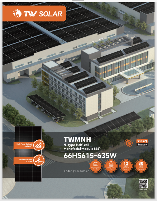 TW High Quality  Tongwei  Photovoltaic Solar Panel 615W 620W 625W 630W 635W  Solar Panels Topcon N-type Half-cellBifacial Module