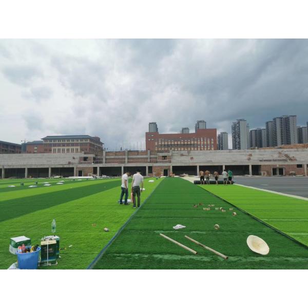 Técnica de tejido avanzada Ceno de hierba sintética con hilo resistente a enfermedades