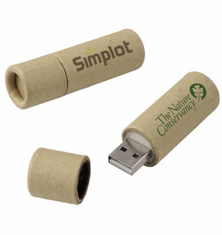 Promotion Eco Friendly Paper USB Flash Drives With Custom Made Logo