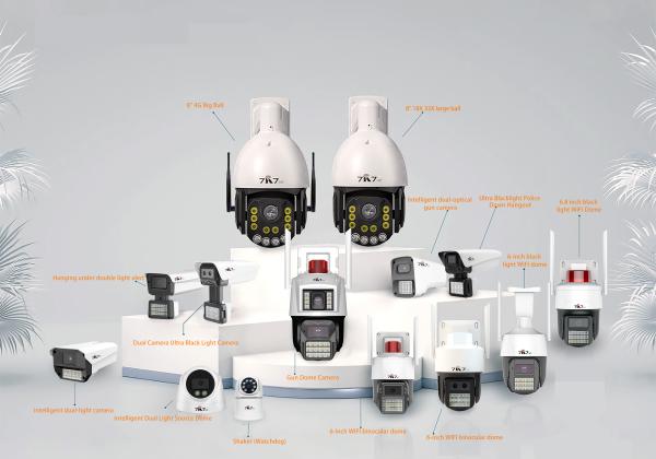 Input Output Cctv Ir Capture Night Vision CCTV Security Camera 4Mp Indoor Security Dome Camera