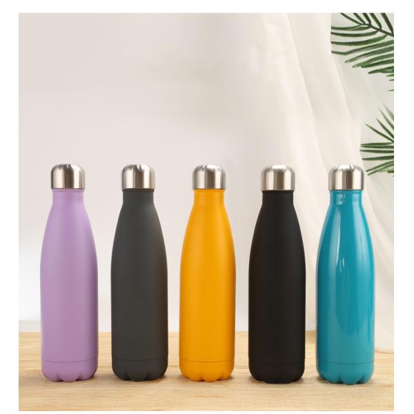 18oz 26oz Eco-friendly Colorful Customization Shape Portable Thermos Bottle for Hotel