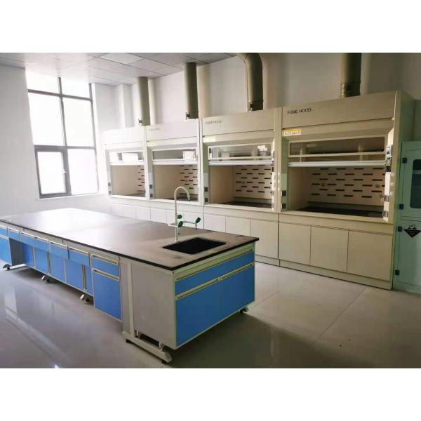 OEM Laboratory Fume Hood All Steel Laminar Flow Fume Hood For Chemistry