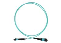O cabo de remendo ótico MTP-MTP da fibra OM3 OM4 12 cabografa o adaptador 40G 300M