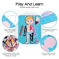 ASTM FM963 Body Cognitive Magnetic Puzzle Game For 3 - 8 Years Old Kids