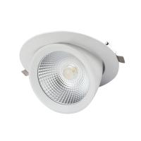 Colher Downlight do diodo emissor de luz da suspensão Cardan