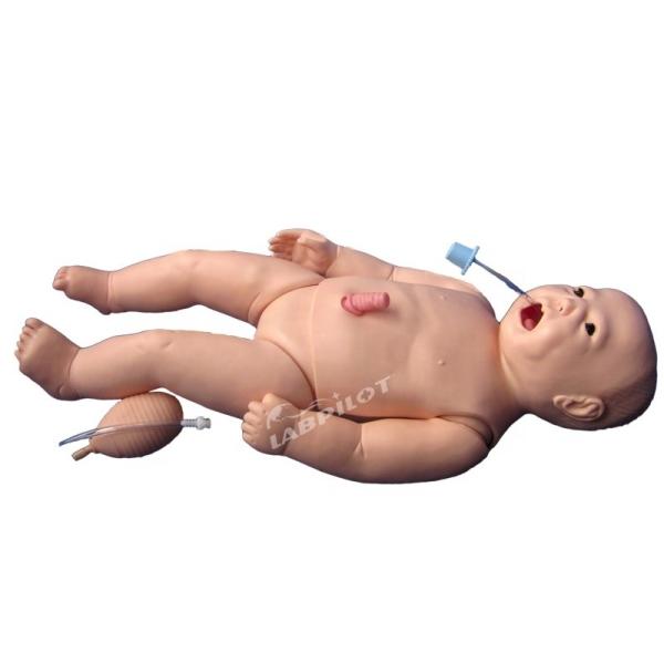 ACLS Neonatal Nursing Manikin Human Life Size Subject for Medical Science Teaching