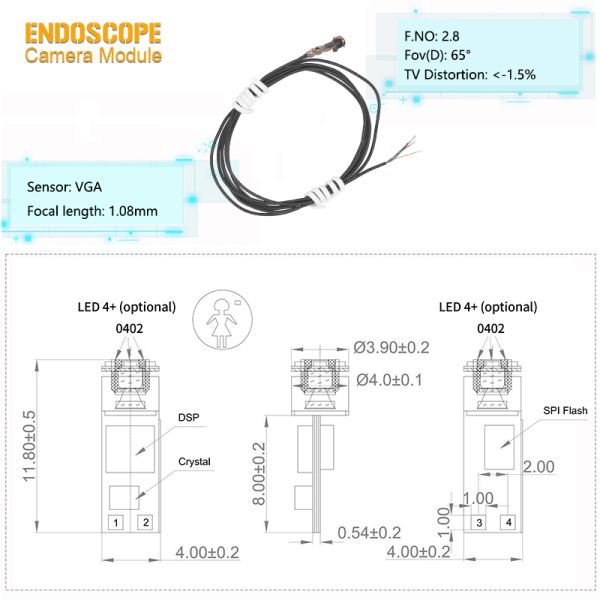 4.0mm Diameter VGA CMOS Sensor CVBS (AV/TV) Analog Output Endoscope Camera Module