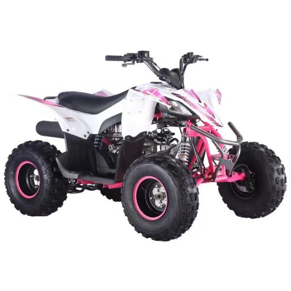 2WD Driving Type 125cc Four Wheeler ATV Bike with Chain Drive Transmission System