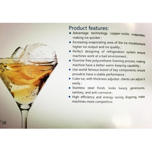 Stainless Steel Containerized Ice Block Machine for Customer Requirements